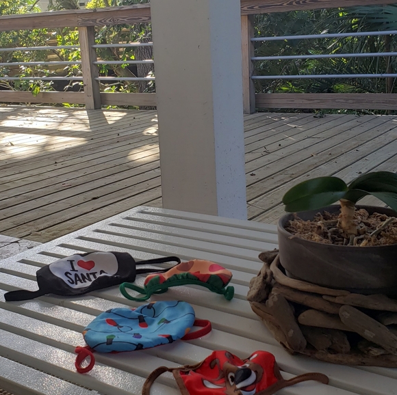 Meet your Posher, Holly - Picture 9 of 10